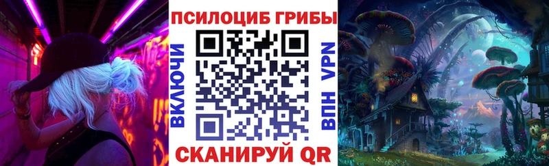 блэк спрут ONION  Карабулак  Галлюциногенные грибы Psilocybe 