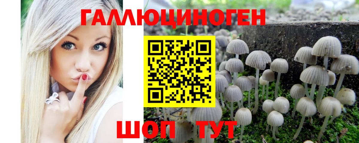 Псилоцибиновые грибы ЛСД Карабулак